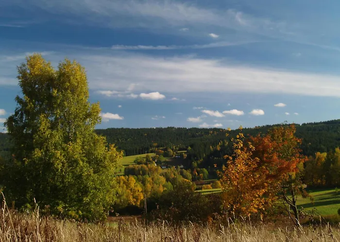U Nas Apartament Smržovka